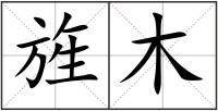 旌木