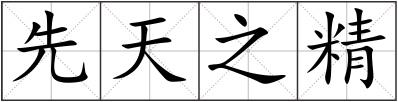 先天之精