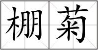 棚菊