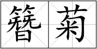 簪菊