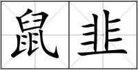 鼠韭