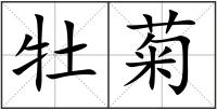 牡菊