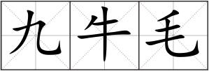 九牛毛