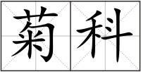 菊科