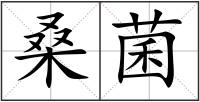 桑菌