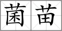 菌苗