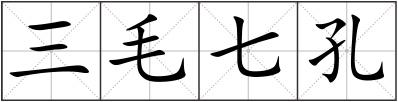 三毛七孔