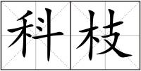 科枝