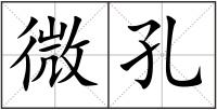 微孔