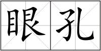 眼孔