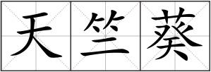 天竺葵