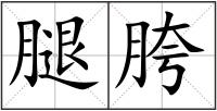 腿胯