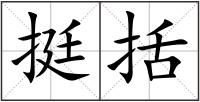 挺括