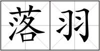 落羽