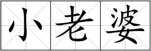 小老婆