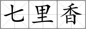 七里香
