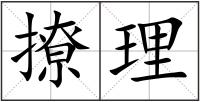 撩理