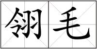 翎毛