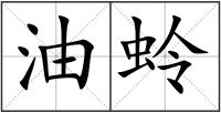 油蛉