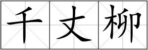 千丈柳
