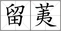 留荑