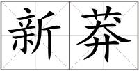 新莽