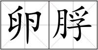 卵脬
