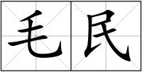 毛民