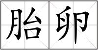 胎卵