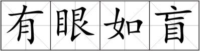 有眼如盲