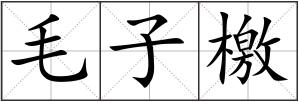 毛子檄