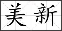 美新