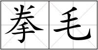 拳毛