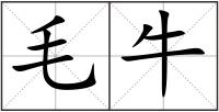 毛牛