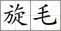 旋毛