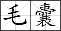 毛囊