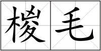 椶毛