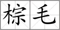 棕毛