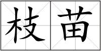 枝苗