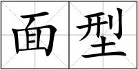 面型