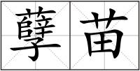 孽苗
