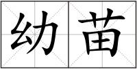 幼苗