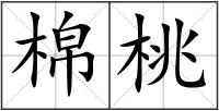 棉桃