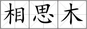 相思木