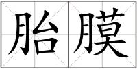 胎膜