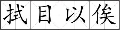 拭目以俟