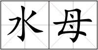 水母