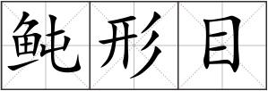 鲀形目