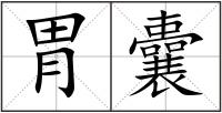胃囊