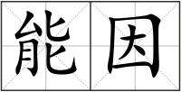 能因